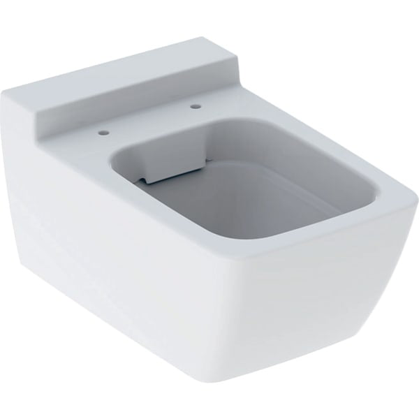 Geberit Xeno Rimfree Wall Hung Toilet Pan Only - White